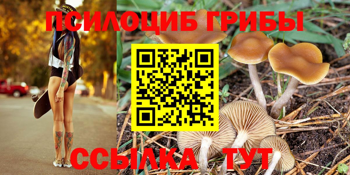 Галлюциногенные грибы MAGIC MUSHROOMS Кизилюрт